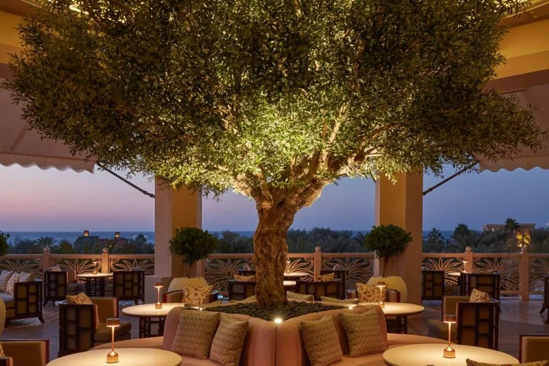Bar Buci, Jumeirah Al Qasr Hotel Dubai - photo 5