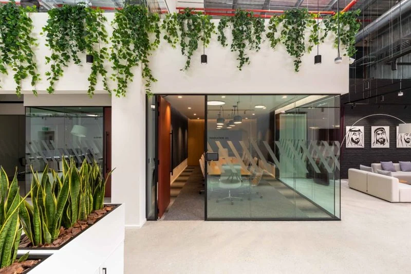 DFS Group Office